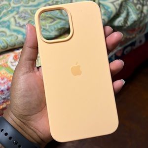 iPhone 13 Pro Max case